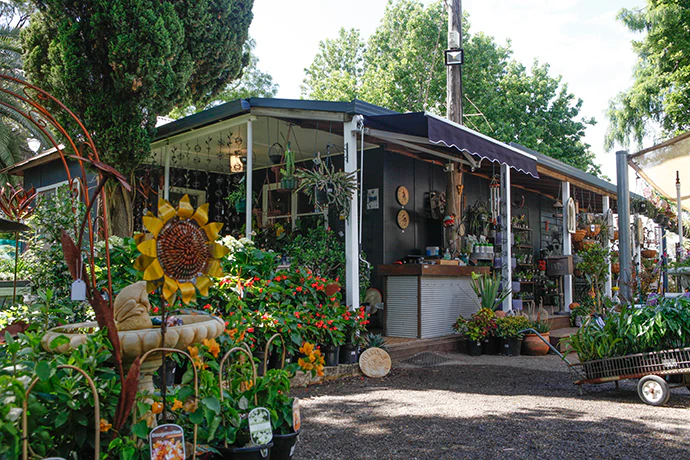 Bring Nature Home with Mother Earth